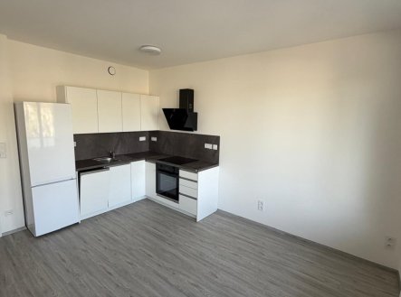 Pronájem bytu, 2+kk, 52 m²