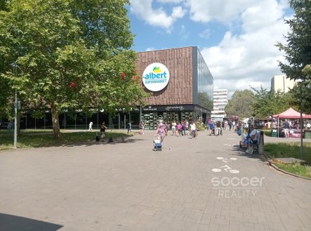 Pronájem bytu, 1+kk, 25 m²