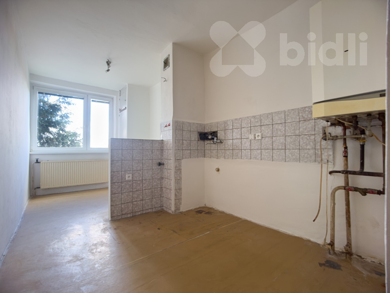 Byt 3+1 75m2 s lodžií, 75 m2, Chmelova - Vysoké Mýto