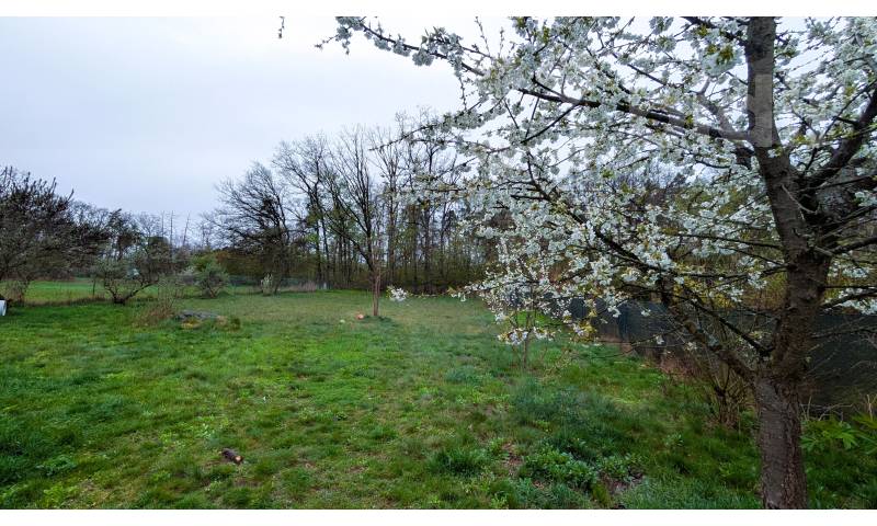Prodej pozemku 750 m² v Pyšelích s možností stavby