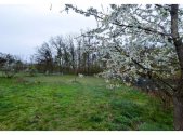 Prodej pozemku, zahrada, 750 m²