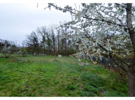 Prodej pozemku 750 m² v Pyšelích s možností stavby | Prodej - pozemek, zahrada, 750 m²