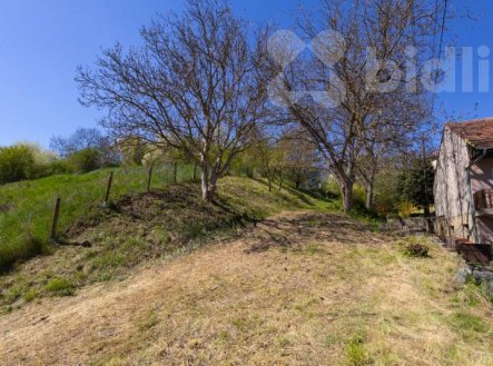 Prodej pozemku pro bydlení, 1 321 m²