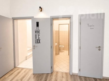 Pronájem obchodní prostory, 77 m²