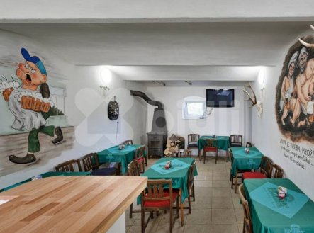 Prodej domu/vily, 490 m²