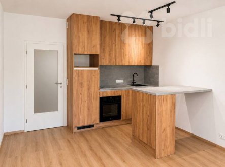 Pronájem bytu, 1+kk, 37 m²