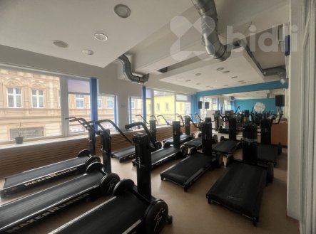 Prodej jiné komerční nemovitosti, 211 m²