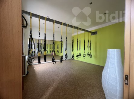 Prodej jiné komerční nemovitosti, 211 m²