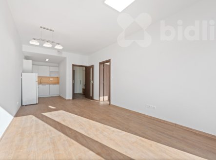 Pronájem bytu, 2+kk, 53 m²