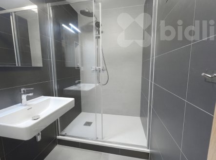 Pronájem bytu, 3+1, 70 m²
