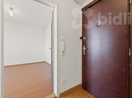 Prodej bytu, 1+kk, 32 m²