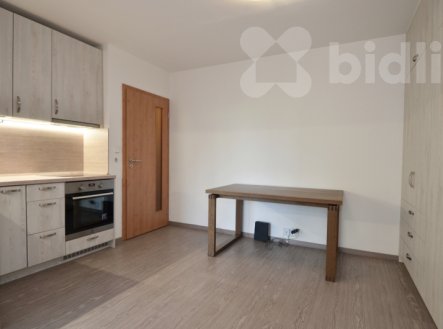 Pronájem bytu, 2+kk, 47 m²