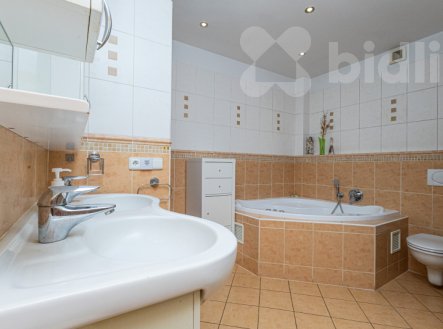 Prodej komerčního objektu, jiný, 252 m²