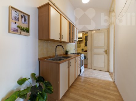 Prodej bytu, 1+1, 45 m²