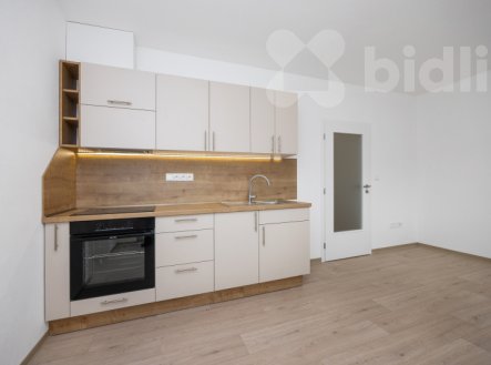 Pronájem bytu, 2+kk, 49 m²