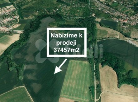 Prodej pozemku Želešice 37457m2, | Prodej - pozemek, zemědělská půda, 37 457 m²
