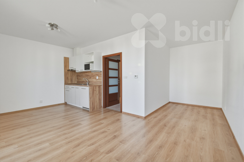 Prodej bytu 1kk / B, 33 m2 / 4 m2, ul. Uherova, Chýně