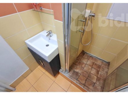 Pronájem bytu, 1+1, 49 m²