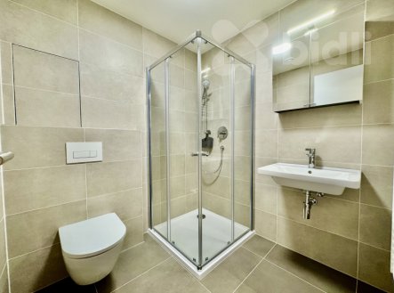Pronájem bytu, 1+kk, 47 m²