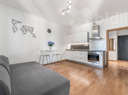 Prodej bytu, 1+kk, 36 m²