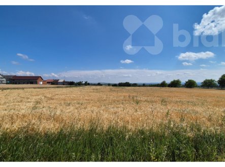 Prodej pozemku, zemědělská půda, 1 035 m²
