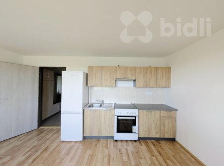 Pronájem bytu, 1+kk, 31 m²