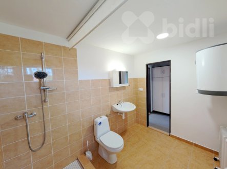 Pronájem bytu, 1+kk, 31 m²