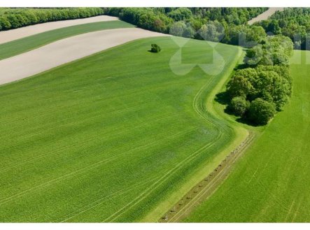 Prodej pozemku, zemědělská půda, 11 105 m²