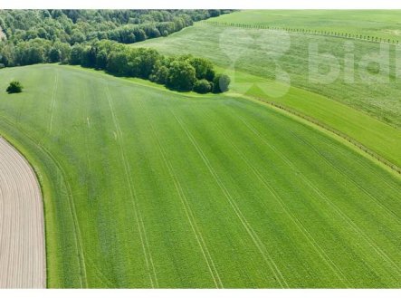 Prodej pozemku, zemědělská půda, 11 105 m²