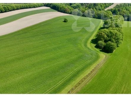 Pronájem pozemku, zemědělská půda, 11 105 m² obrázek