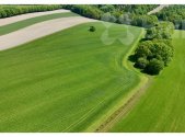 Pronájem pozemku, zemědělská půda, 11 105 m²