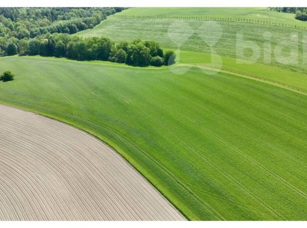 Pronájem pozemku, zemědělská půda, 11 105 m²