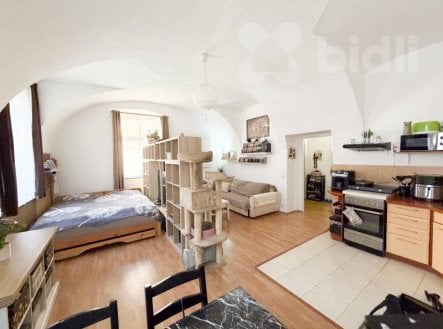 Prodej bytu, 1+kk, 63 m²