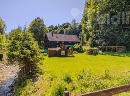 Prodej penzion, 513 m²