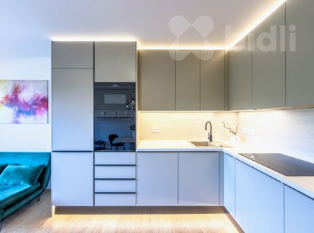 Pronájem bytu, 2+kk, 55 m²