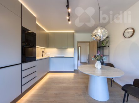 Pronájem bytu, 2+kk, 52 m²