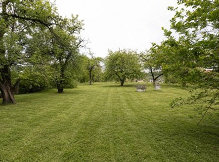 Prodej pozemku, zemědělská půda, 4 525 m²