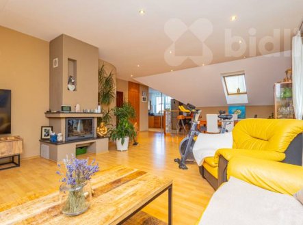 Prodej domu/vily, 300 m²