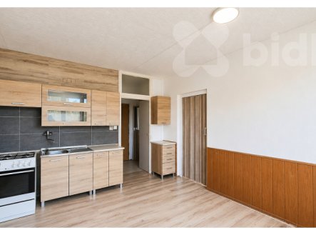 Pronájem bytu, 1+1, 36 m²