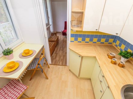 Prodej bytu, 1+kk, 41 m²