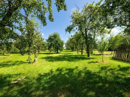 Prodej pozemku, zemědělská půda, 1 938 m²