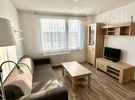 Pronájem bytu, 1+1, 33 m²
