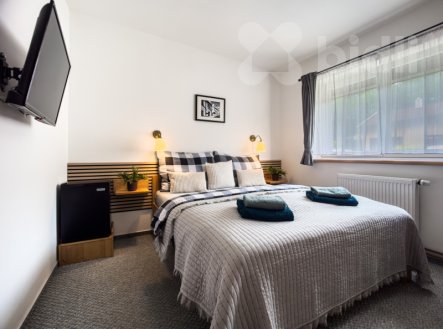Prodej penzion, 370 m²