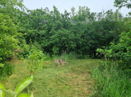 Prodej pozemku pro bydlení, 600 m²