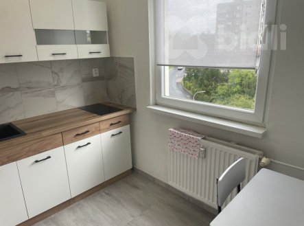 Pronájem bytu, 1+1, 39 m²