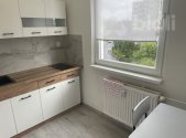 Pronájem bytu, 1+1, 39 m²
