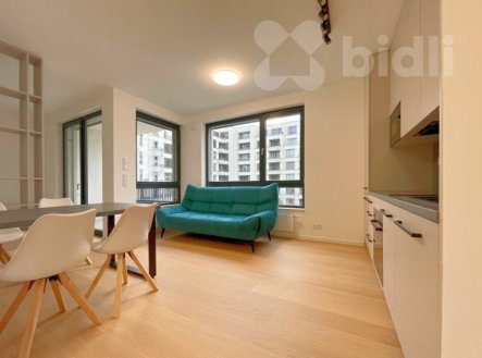 Pronájem bytu, 1+kk, 46 m²