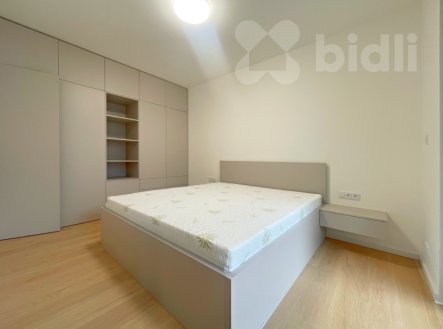 Pronájem bytu, 1+kk, 46 m²