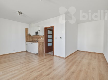 Pronájem bytu, 1+kk, 39 m²