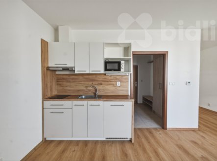 Pronájem bytu, 1+kk, 39 m²